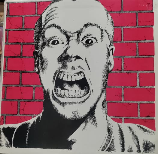 CAPITOL PUNISHMENT SLum WIth A View 1986 Unclean Records LP $45.00 USED RECORDS PUNK INDIE METAL