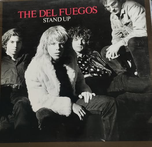 DEL FUEGOS Stand Up LP $25.00 USED RECORDS PUNK INDIE METAL