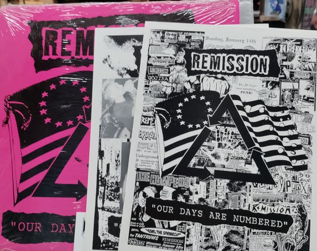 REMISSION Your Days ARe Numbered LP $25.00 USED RECORDS PUNK INDIE METAL