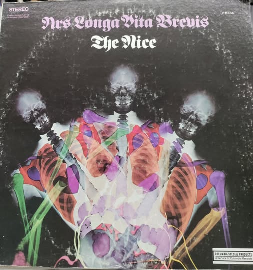 THE NICE Ars Longa Vita Brevis LP $25.00 USED RECORDS PUNK INDIE METAL
